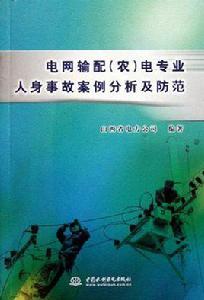 電網輸配 電網輸配