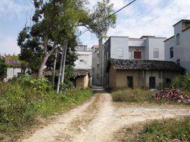 平山坡[廣東省化州市那務鎮下轄自然村]