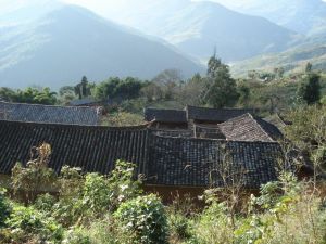 田口二村 田口二村