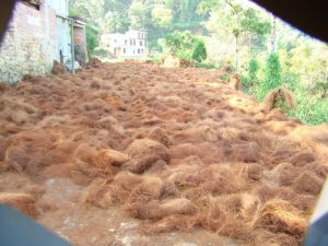 大龍瑤寨自然村