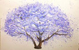 千年藍花楹 千年藍花楹