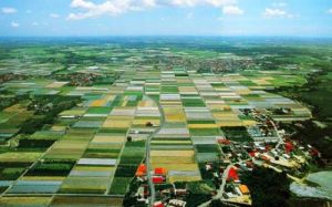 嘉南平原 嘉南平原