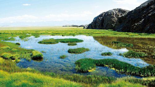 鹽池灣濕地草原