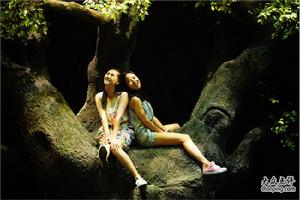 小小生命樹 小小生命樹