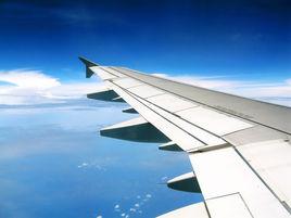 機翼理論 機翼理論