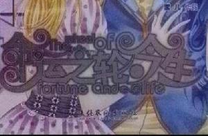 命運之輪:今生 命運之輪:今生