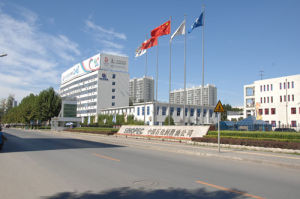 中國石化武漢石油(集團)股份有限公司 中國石化武漢石油(集團)股份有限公司