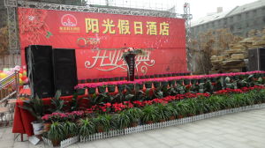 臨泉陽光假日酒店 臨泉陽光假日酒店