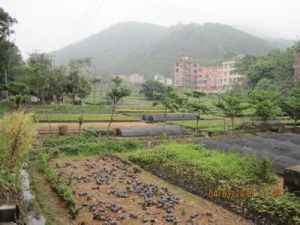 漁沙坦村 漁沙坦村