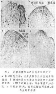 再生有色金屬 再生有色金屬