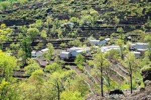 大安山鄉 大安山鄉
