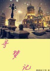 尋夢記 尋夢記