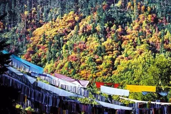 不收費,顏值還刷爆朋友圈,這條自駕高速秋天美如畫!