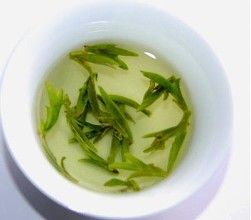 毛折柄茶 毛折柄茶