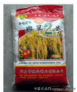 鄭旱2號 鄭旱2號