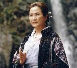 碧眼狐狸[王度廬小說人物]