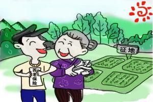 失地農民養老保險 失地農民養老保險
