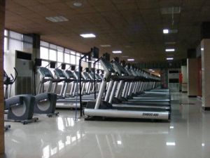 體育裝備工程 體育裝備工程