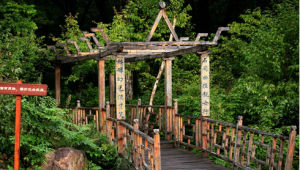 金龍山國家森林公園