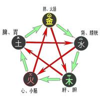 中醫五行學 中醫五行學