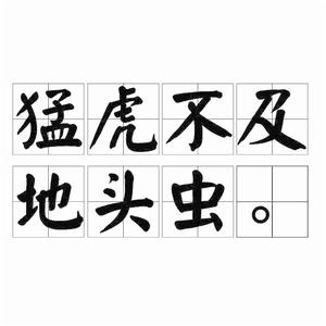 猛虎不及地頭蟲 猛虎不及地頭蟲