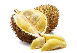 泰國榴槤 泰國榴槤