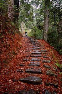 天關山古道 天關山古道