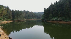 石井頭村 石井頭村