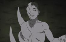 鳶[《火影忍者》中的人物]