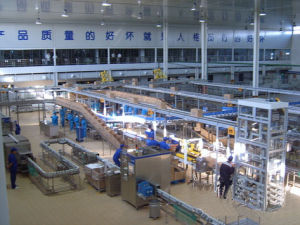 乳品工程 乳品工程