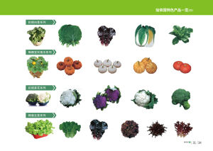 功效特色產品一覽