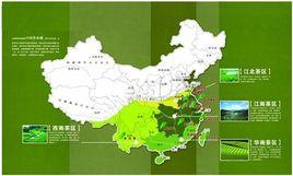 中國茶區 中國茶區