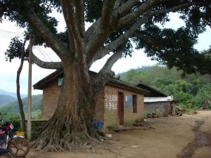 磨桿上自然村 磨桿上自然村