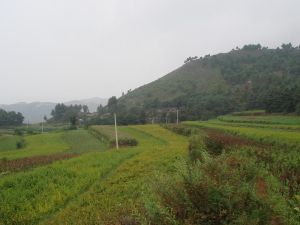 雙井自然村 雙井自然村