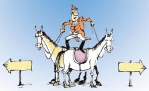 成長與收益基金