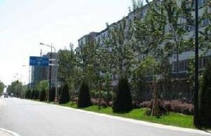 北市場小區 北市場小區