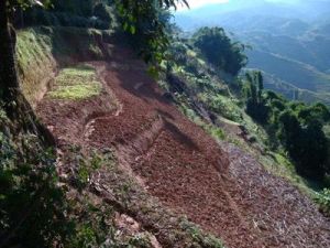 上小街自然村 上小街自然村
