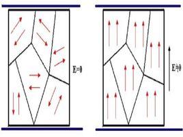 轉向極化 轉向極化
