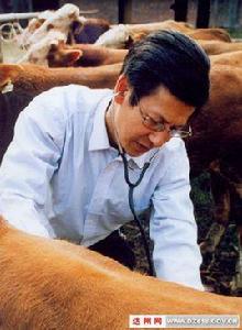 高級獸醫師 高級獸醫師