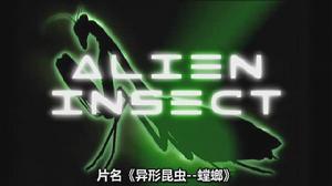 異形昆蟲-螳螂 異形昆蟲-螳螂