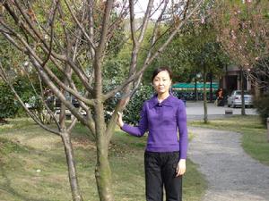 宜昌市第九中學