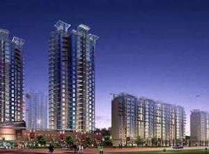 唐島七星 唐島七星