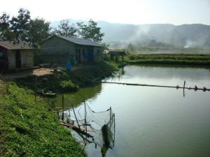 竜令自然村 竜令自然村