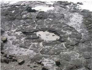 濱海火山國家地質公園地質地貌