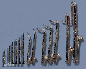 倍低音薩克斯 倍低音薩克斯