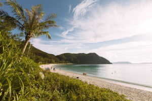 渡嘉敷島 渡嘉敷島
