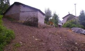 大底德村 大底德村