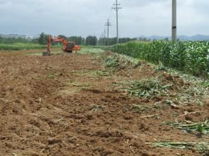 東田莊村 東田莊村