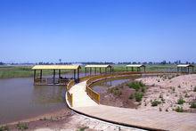 四女寺濕地公園風景區