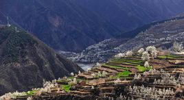 河西鄉[四川金川縣河西鄉]